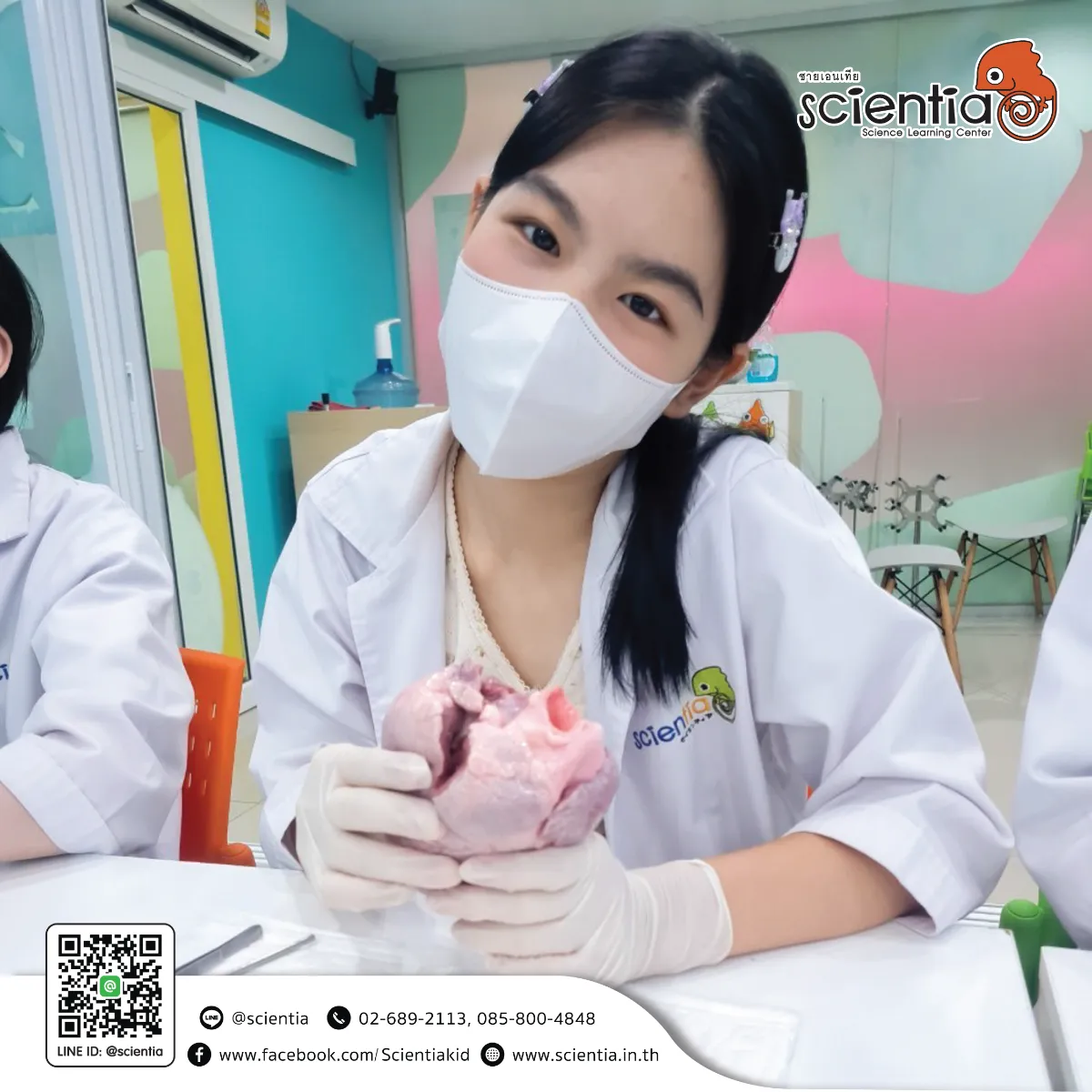 ห้องเรียนวิทย์ Intensive Lab - เตรียมสอบ KVIS MWIT KOSEN วมว พสวท | ซายเอเทีย