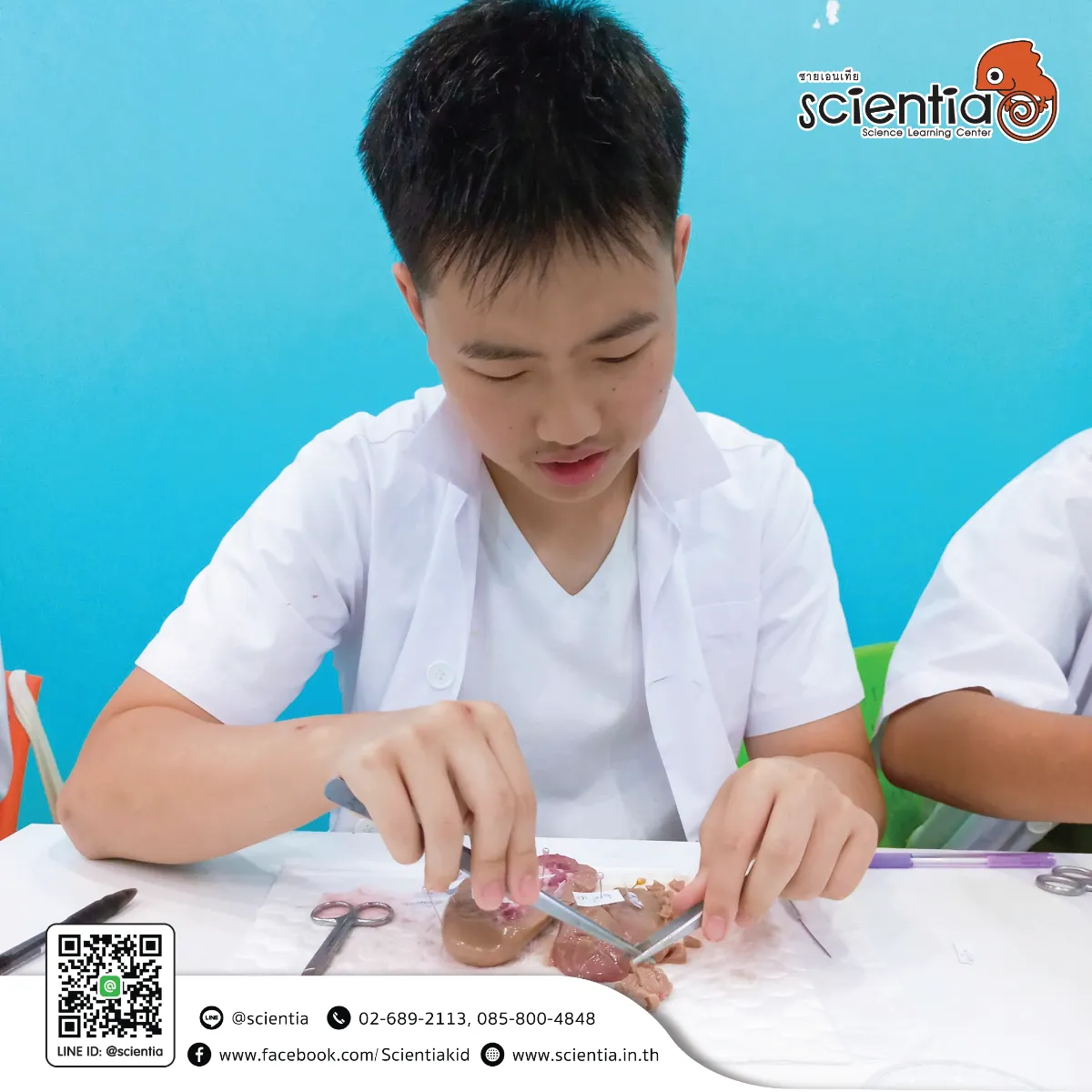 ห้องเรียนวิทย์ Intensive Lab - เตรียมสอบ KVIS MWIT KOSEN วมว พสวท | ซายเอเทีย