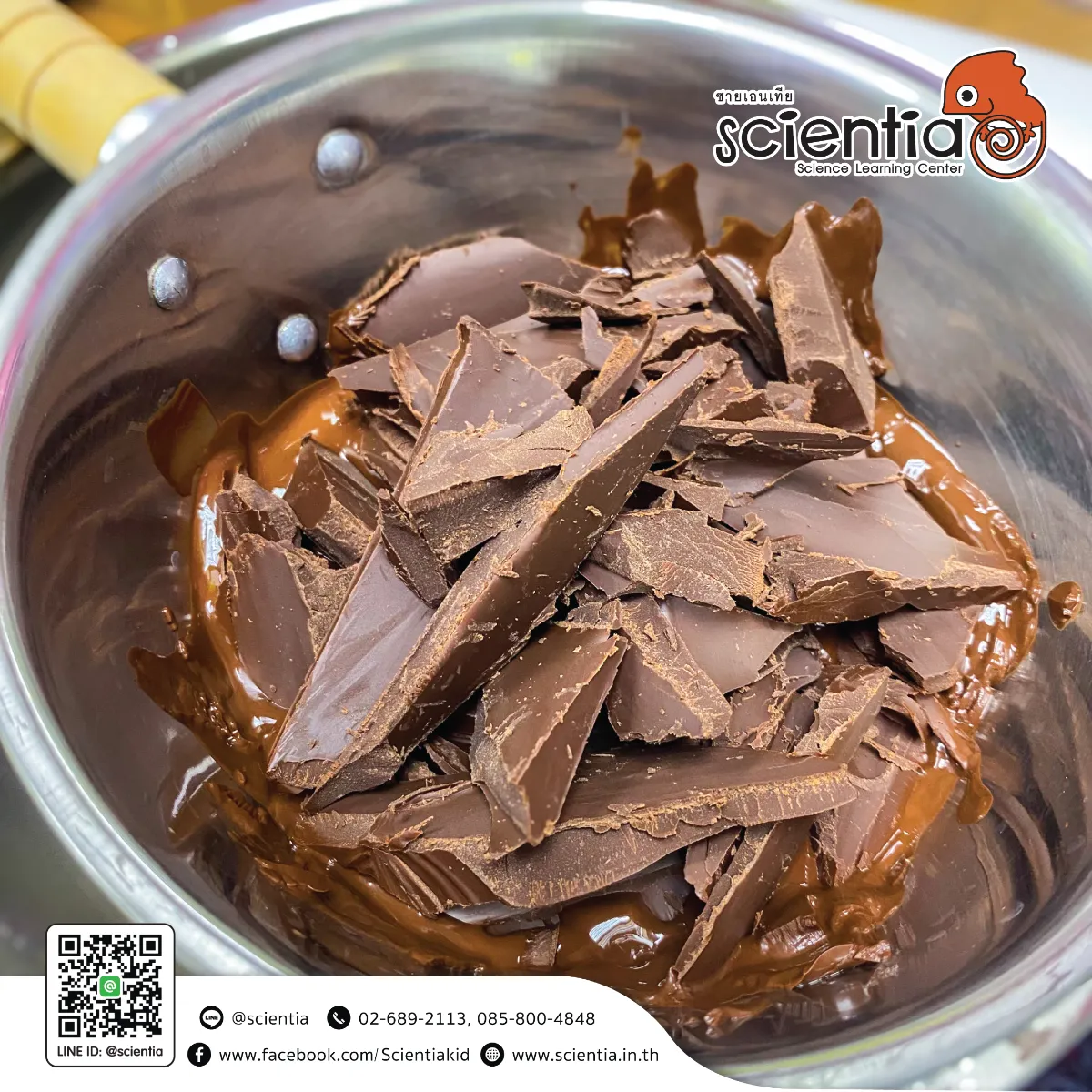 สถาบันสอนวิทยาศาสตร์ ติววิทย์ สสวท.วิทย์ ประถม | ซายเอเทีย