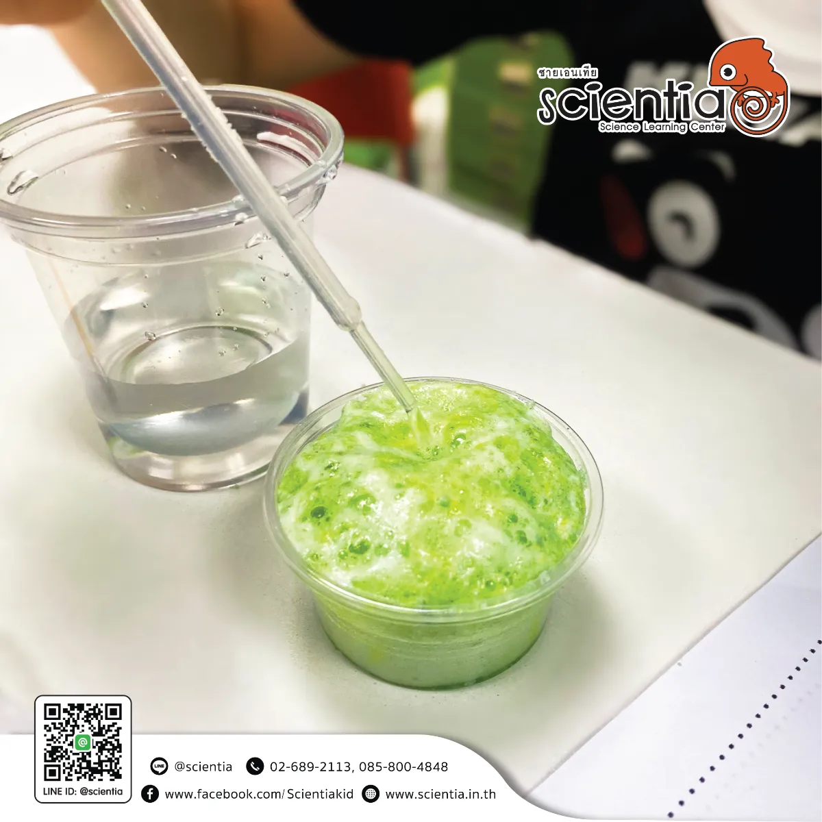 สถาบันสอนวิทยาศาสตร์ ติววิทย์ สสวท.วิทย์ ประถม | ซายเอเทีย