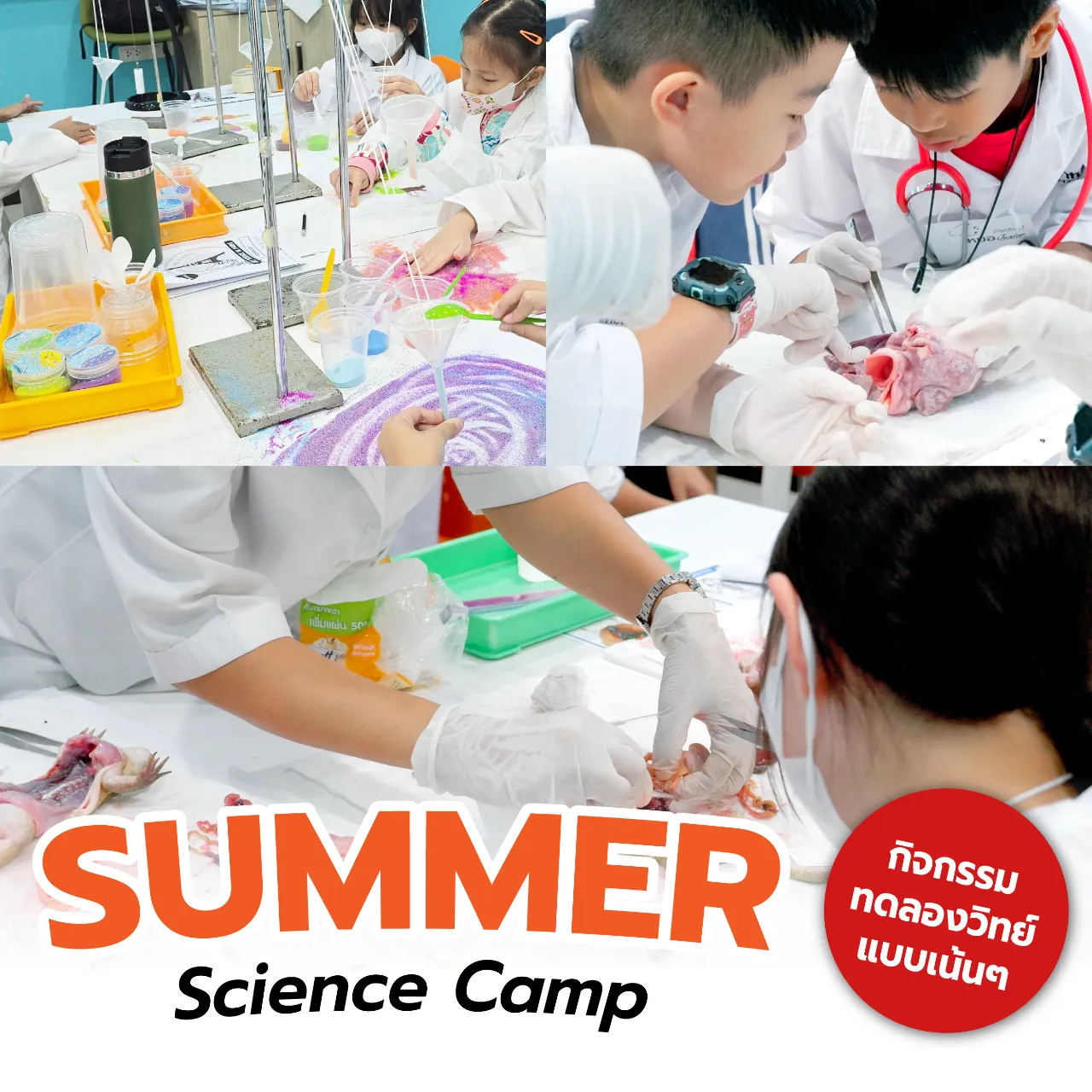 สถาบันสอนวิทยาศาสตร์ ติววิทย์ สสวท.วิทย์ ประถม | ซายเอเทีย