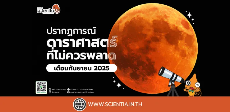 รวม 4 เหตุการณ์และปรากฏการณ์ดาราศาสตร์ที่ไม่ควรพลาด สามารถเห็นได้ในประเทศไทย กันยายน 2025 นี้ !!!