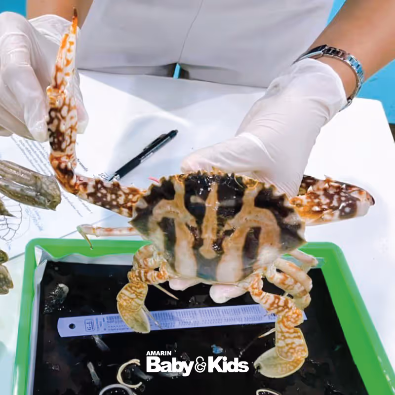 ห้องเรียนวิทย์ Intensive Lab - เตรียมสอบ KVIS MWIT KOSEN วมว พสวท | ซายเอเทีย