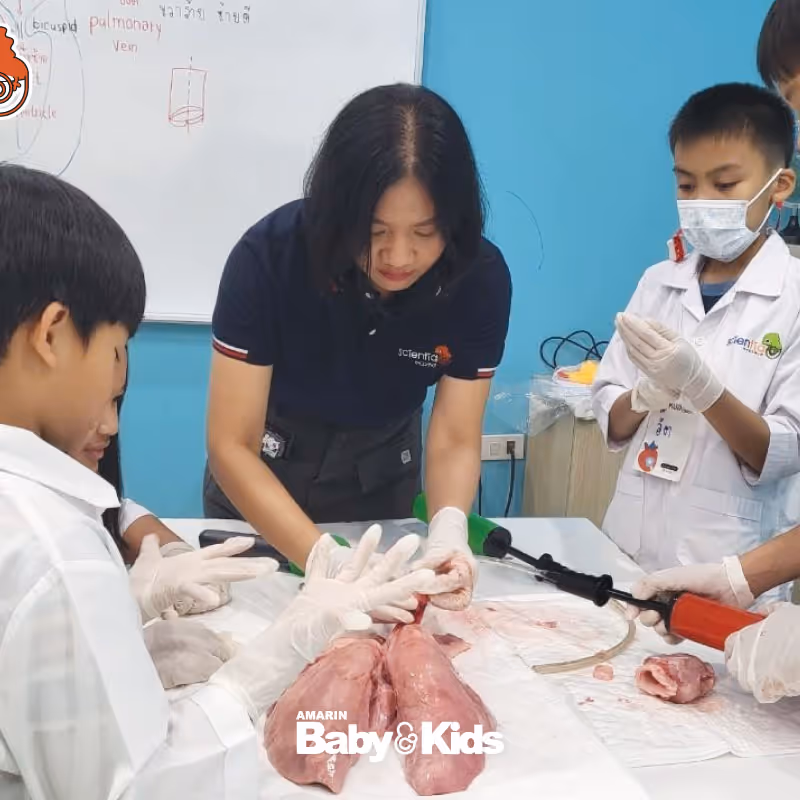 ห้องเรียนวิทย์ Intensive Lab - เตรียมสอบ KVIS MWIT KOSEN วมว พสวท | ซายเอเทีย
