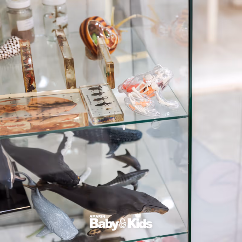 ห้องเรียนวิทย์ Intensive Lab - เตรียมสอบ KVIS MWIT KOSEN วมว พสวท | ซายเอเทีย