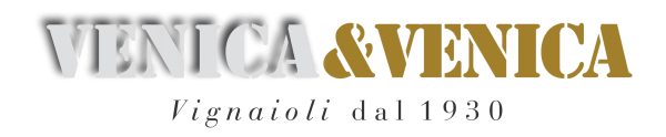 logo venica venica