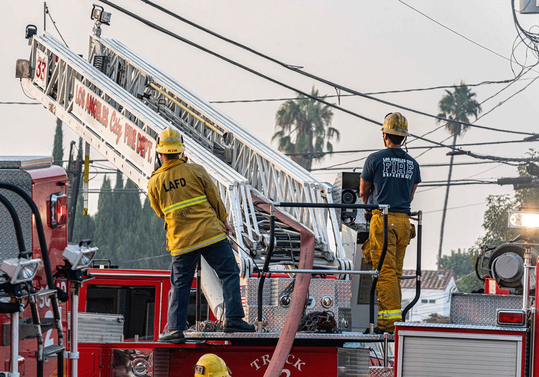 FIRE BRIGADE SELECTION PROCESS visual data 8