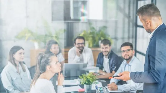 Coaching System, Consulting Services, In House Training