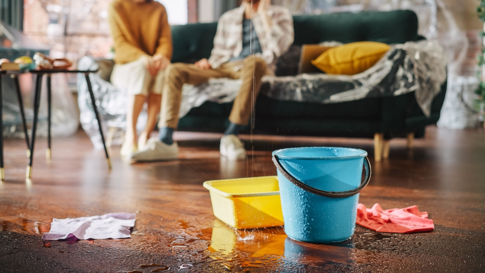 What To Do If Your Roof Is Leaking