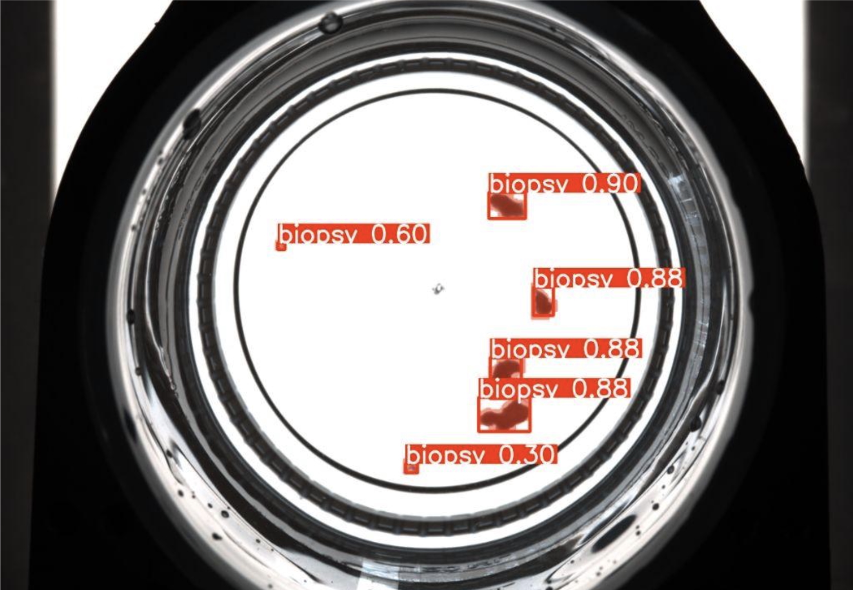 Step 2 photo placeholder