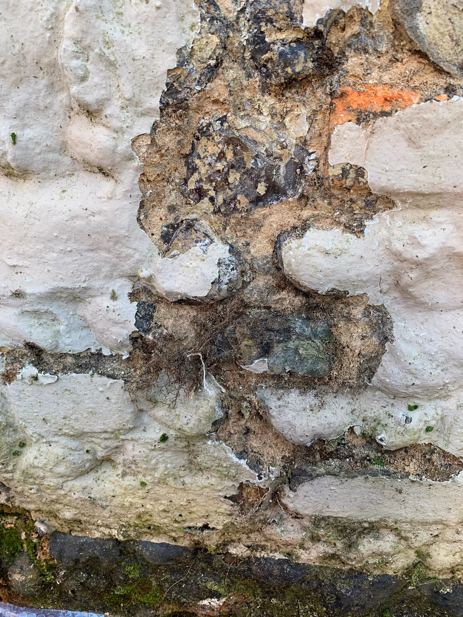 Close up of peeling paint lifting away from flint and lime mortar, with damp staining near the base