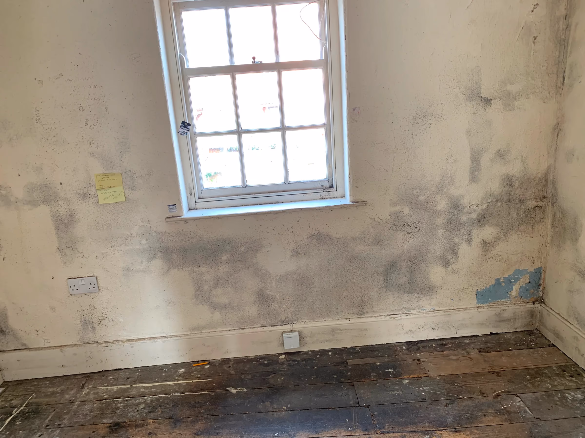 Black mould spreading across a painted wall below a sash window before work began