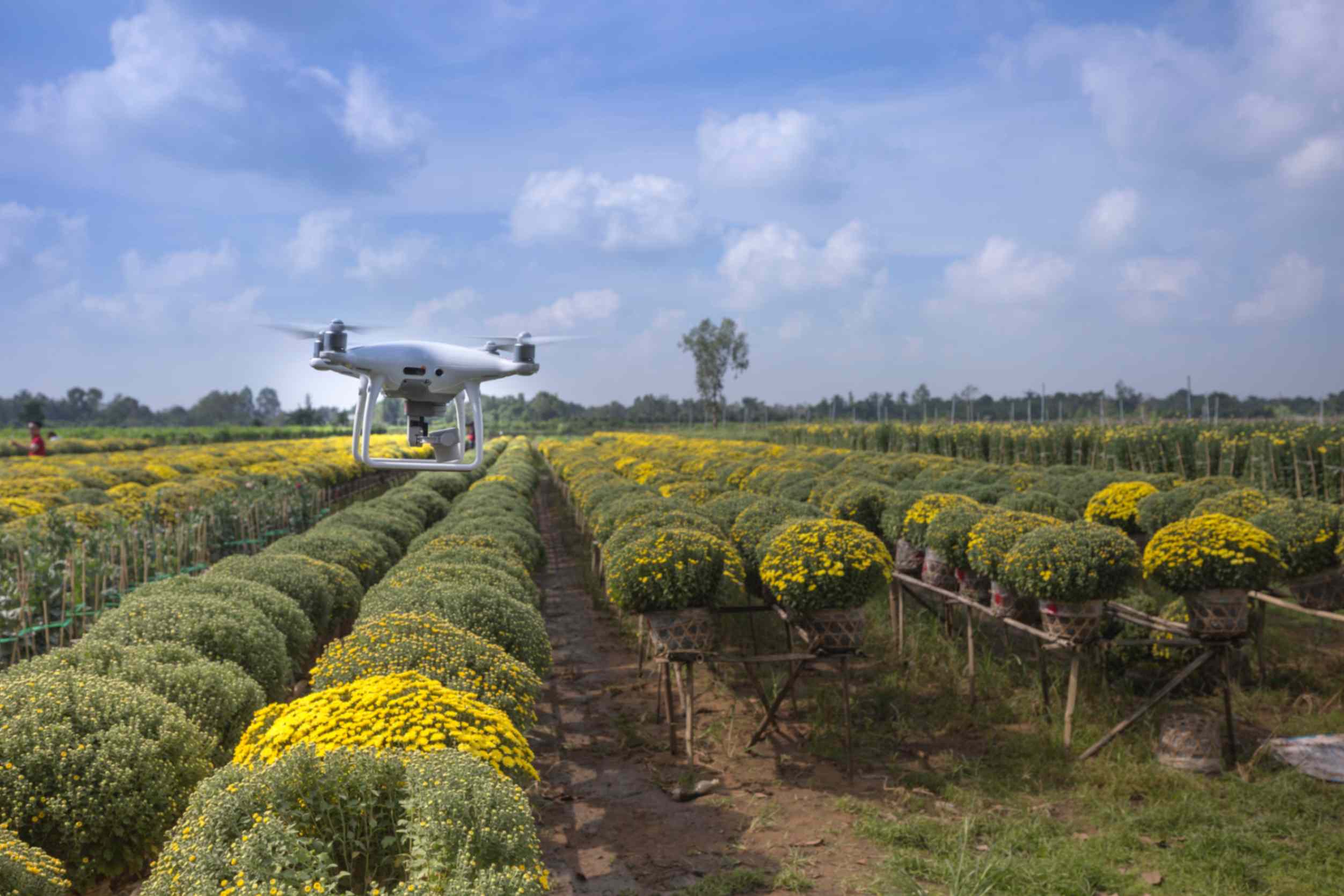 Precision farming with drones
