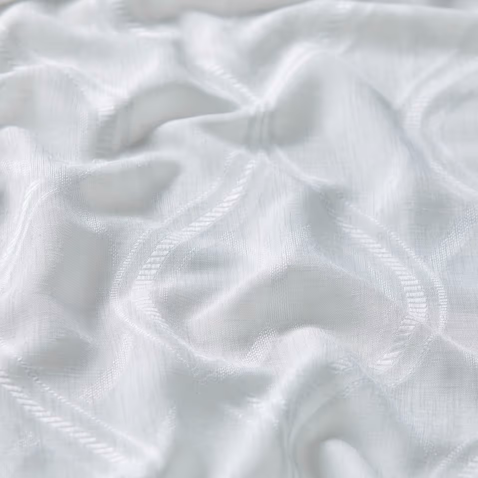 Curvature Snow