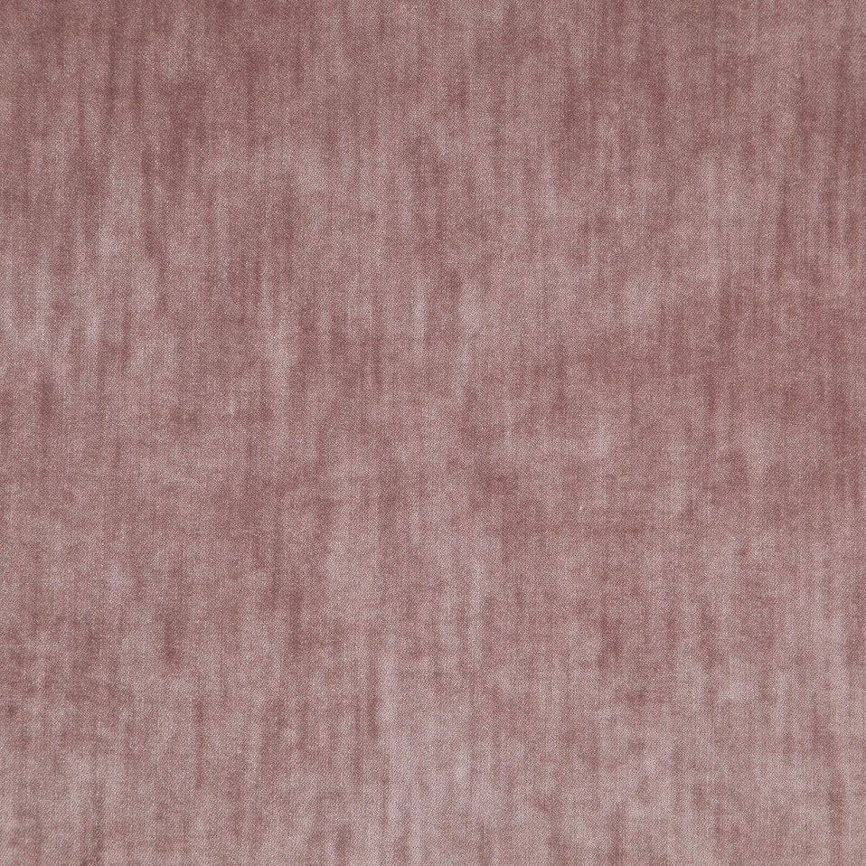 Fortitude Rosebud 