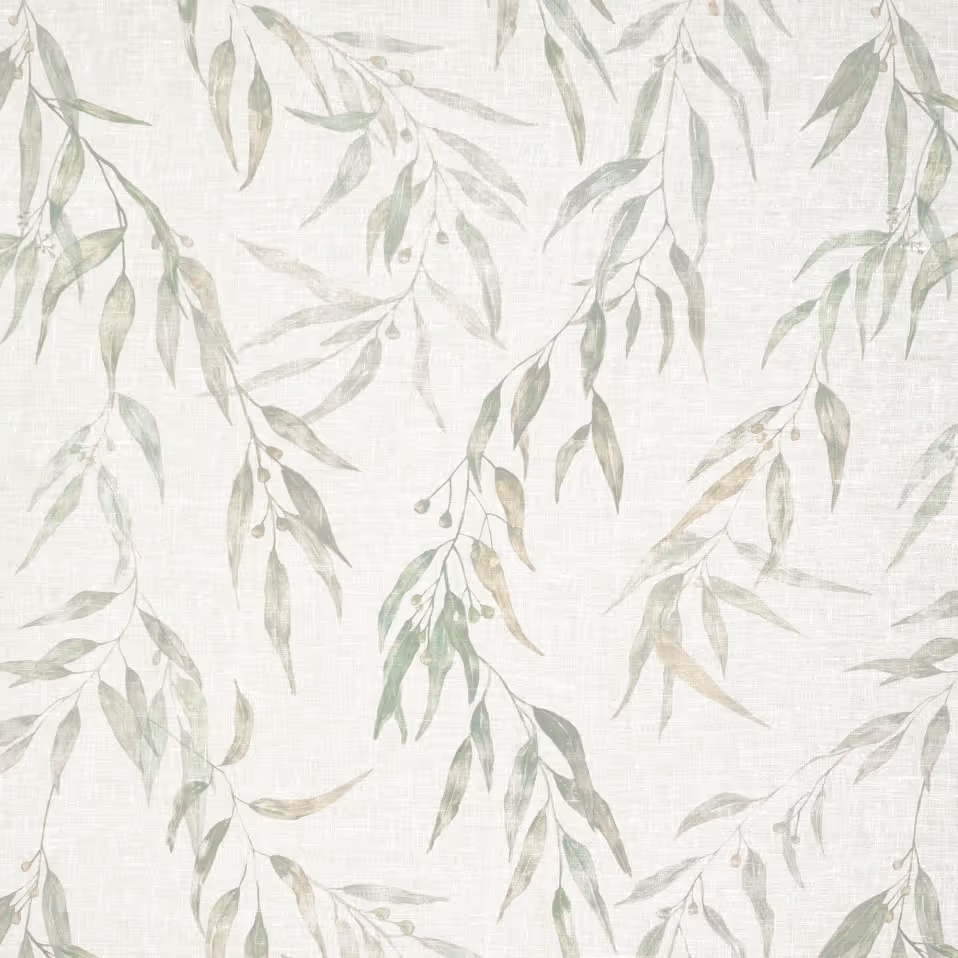 Gumtree Silver Gum
