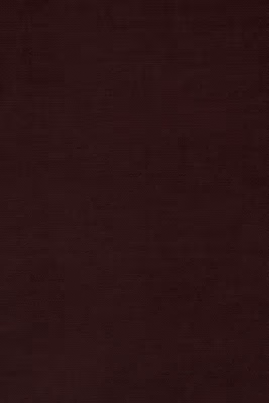 Magnificence Mulberry