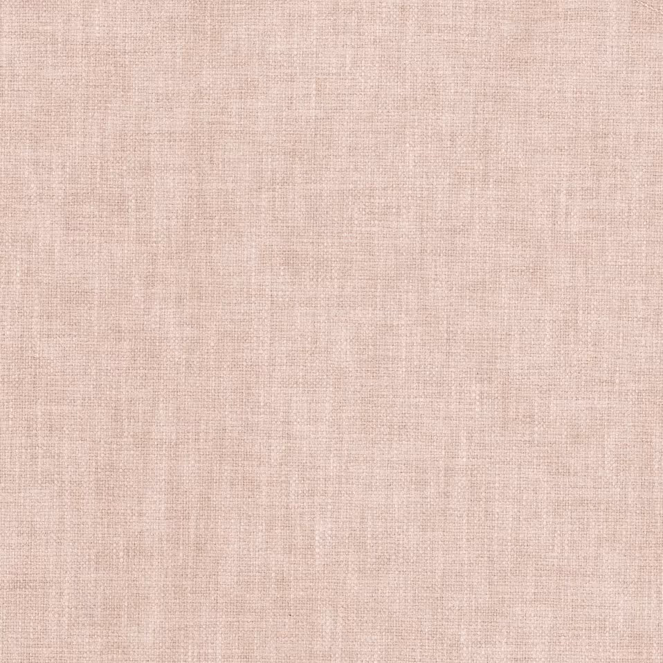 Oxford Rose