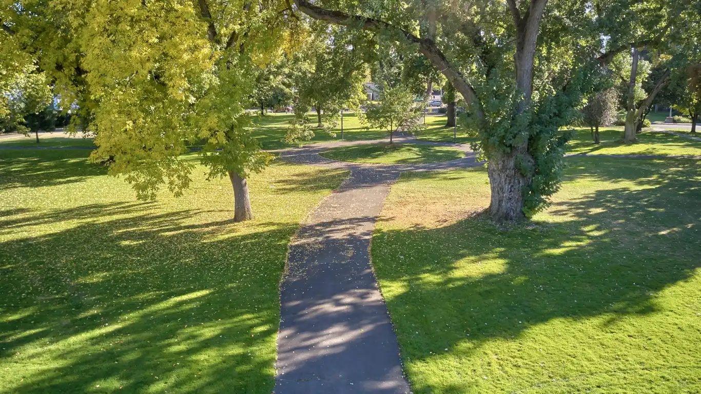 Hawthorne Park Renovation