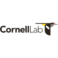 Cornell Lab of Ornitholody