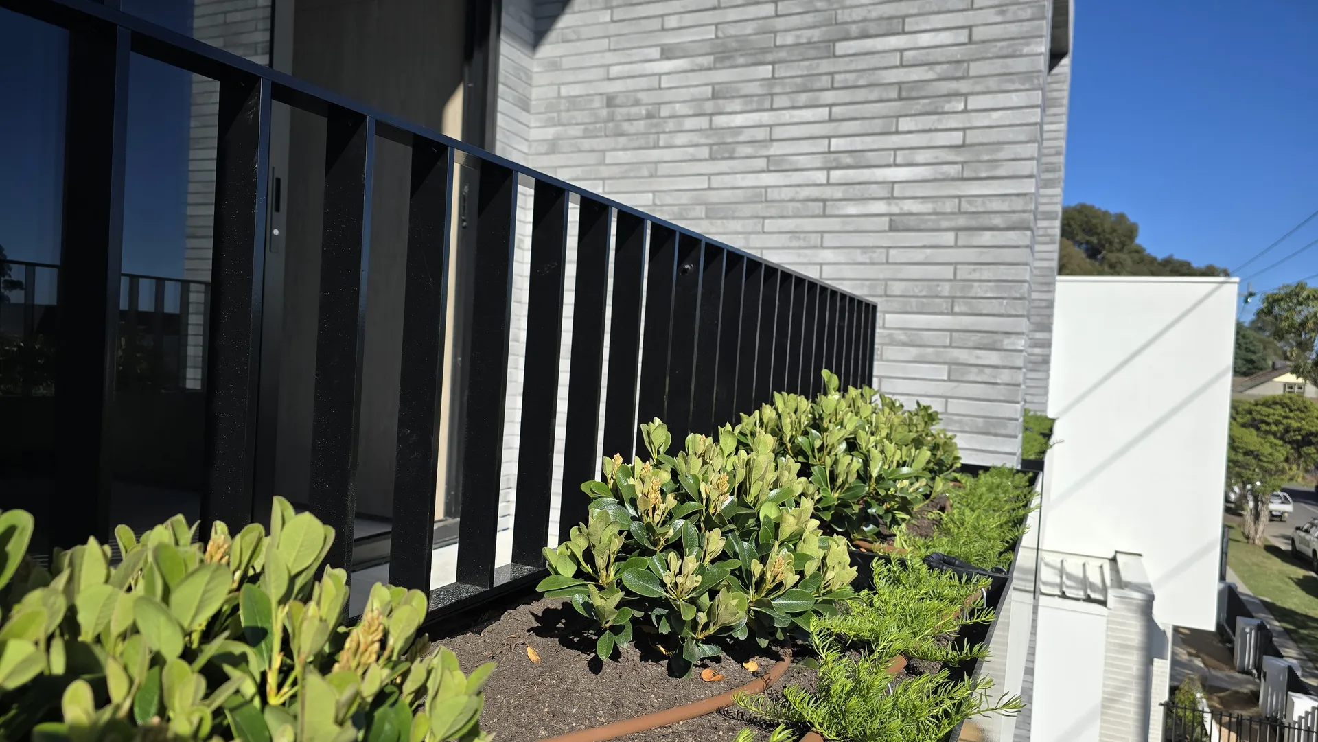 Modern metal planter boxes