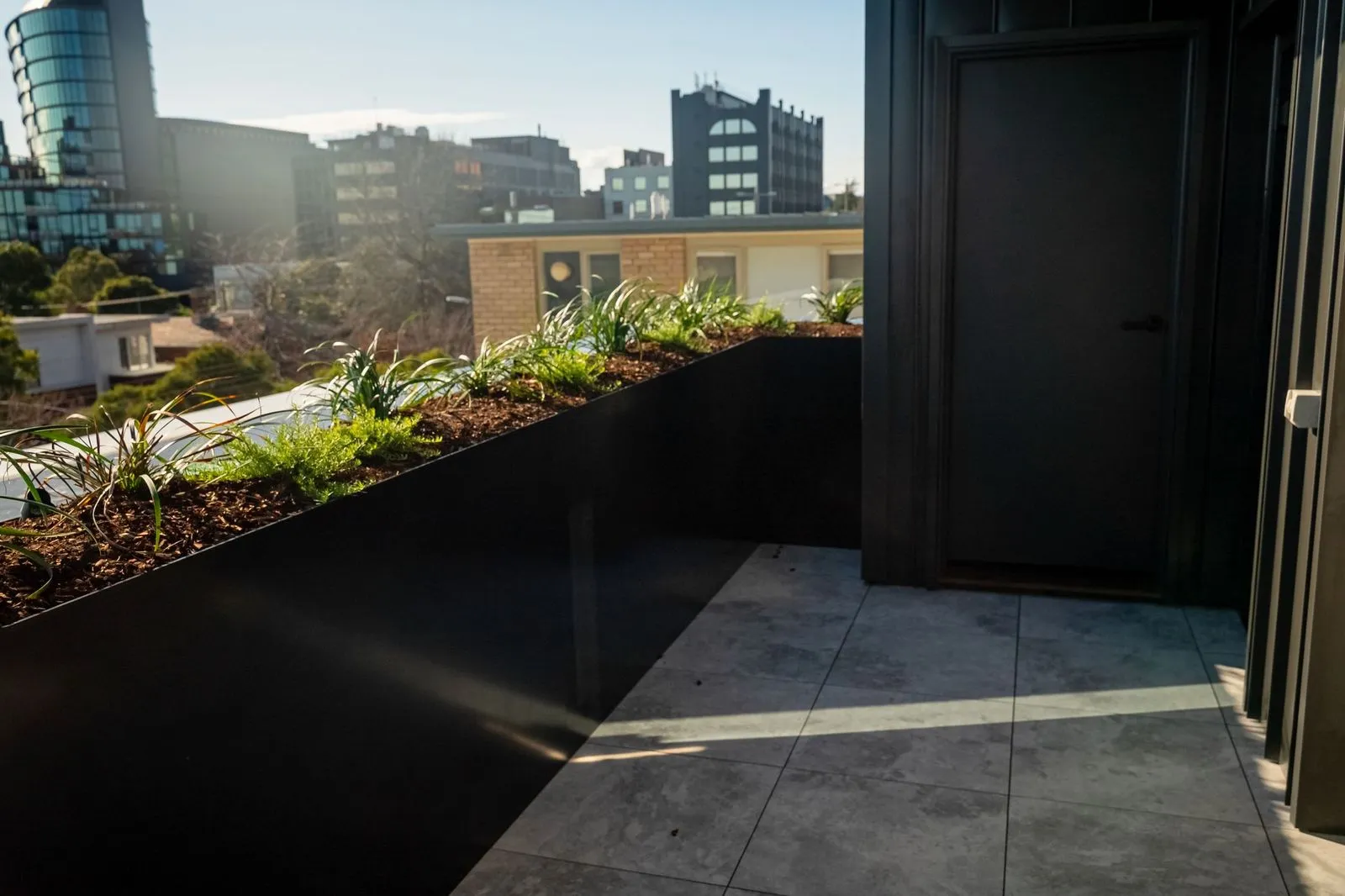 Modern metal planter boxes