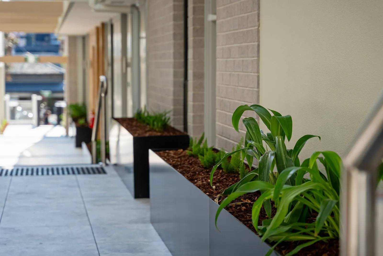 Custom Planter Boxes by Environ Metal Designs