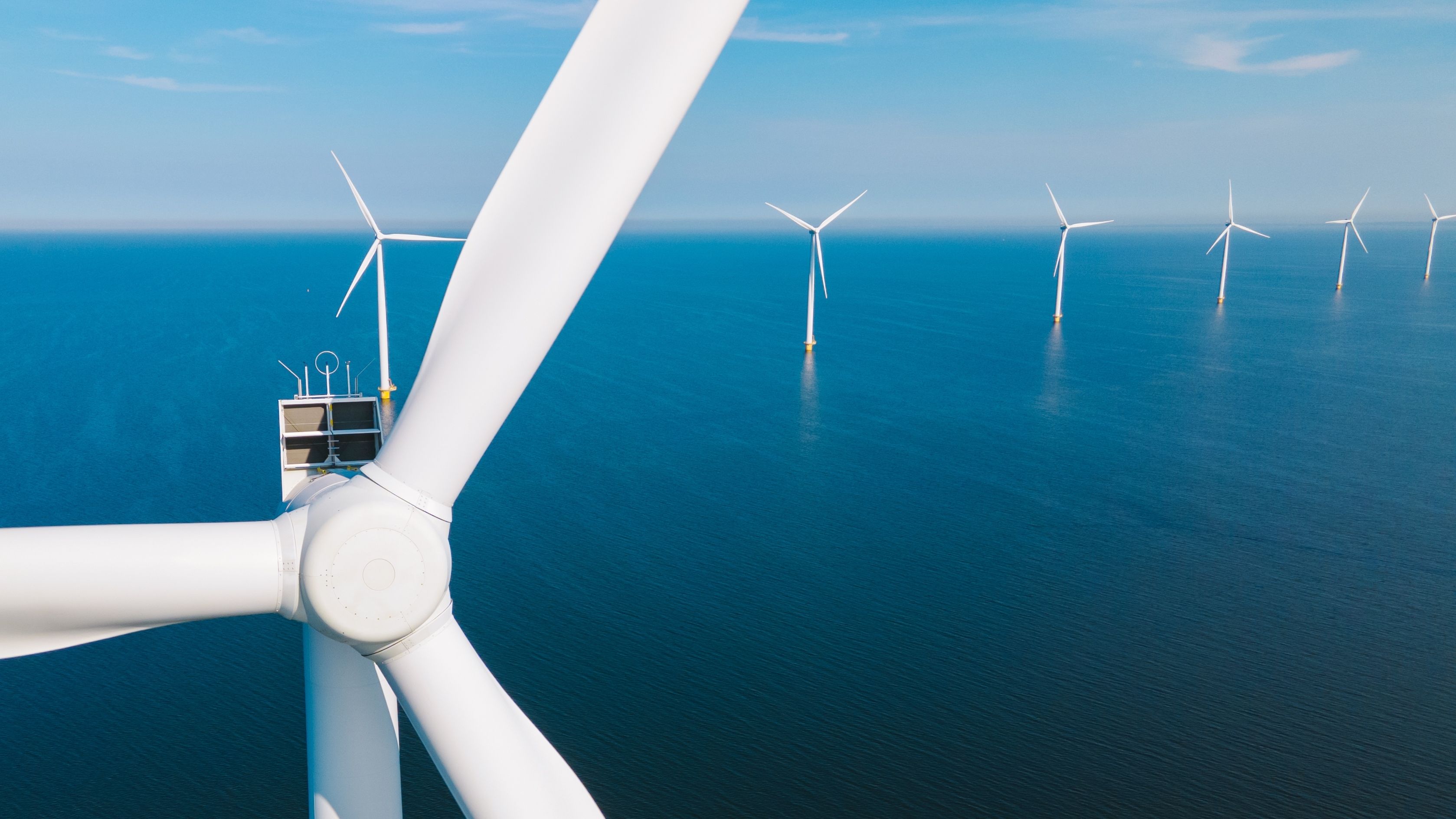 Climate and Sustainability