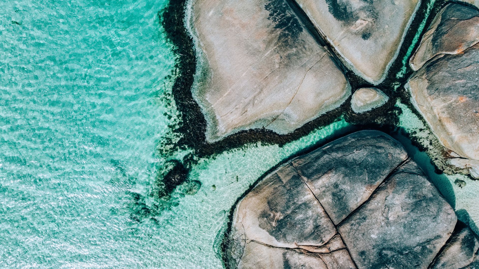 Climate and Sustainability