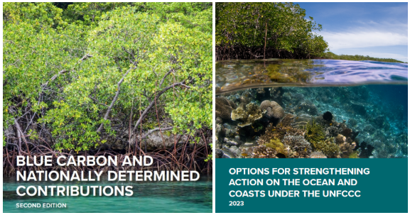 Strengthening action on blue carbon and the ocean-climate nexus under the UN Framework Convention on Climate Change