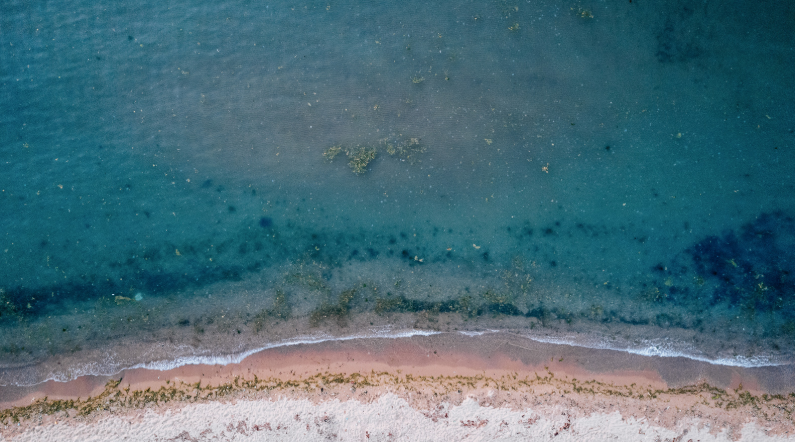 Monthly Newsletter: September 2025