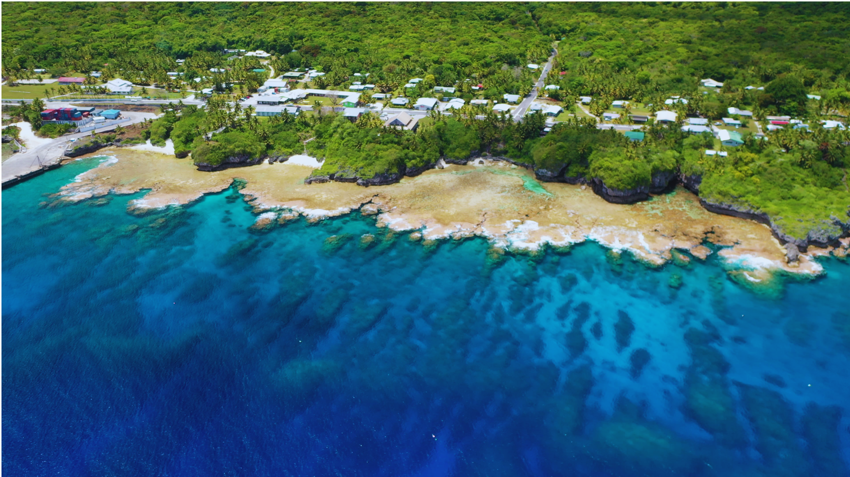 Monthly Newsletter: January 2026