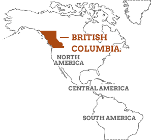 Business planner and Western Canada map representing local BC and Alberta collection agency expertise.