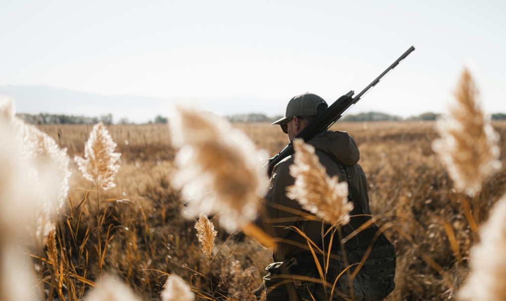A person carrying a rifle walks through a grassy field with tall reeds in soft natural light.
