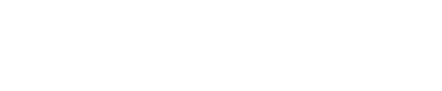 j p morgan