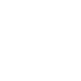 pai partners