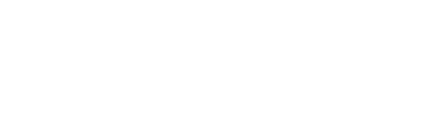 bpi france