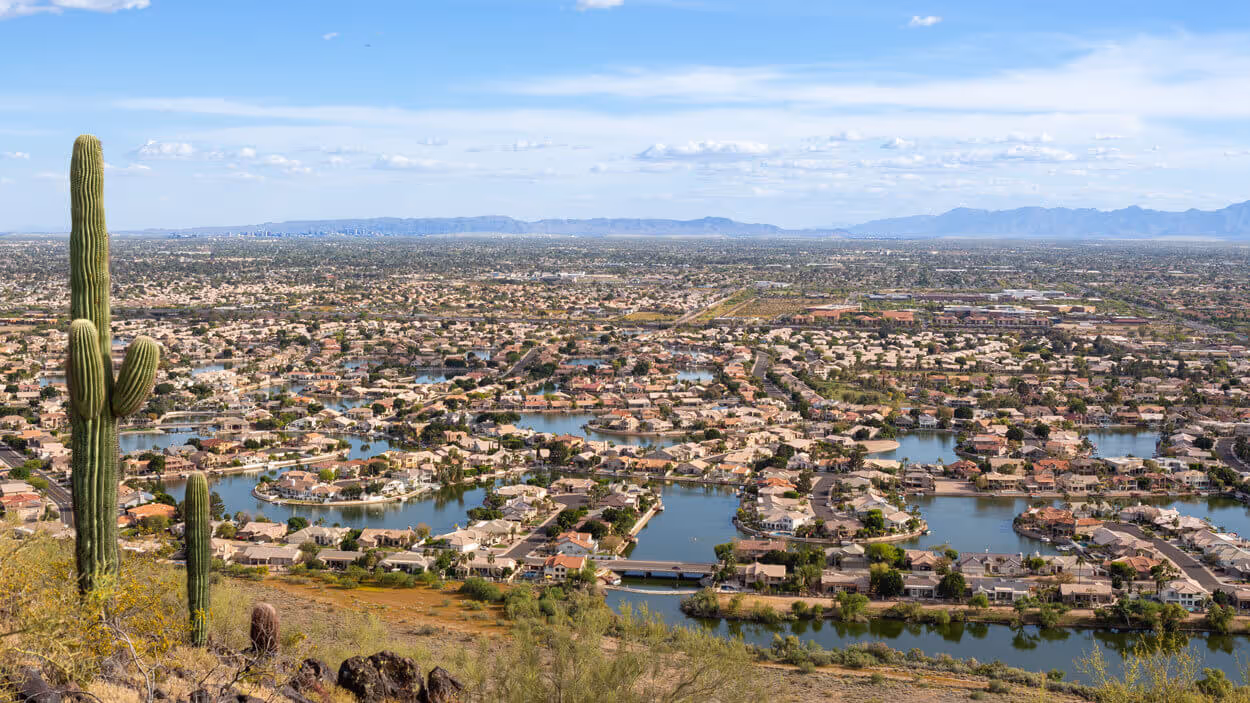 Aerial view of suburban homes with small lakes and a saguaro cactus in the foreground under a blue sky.