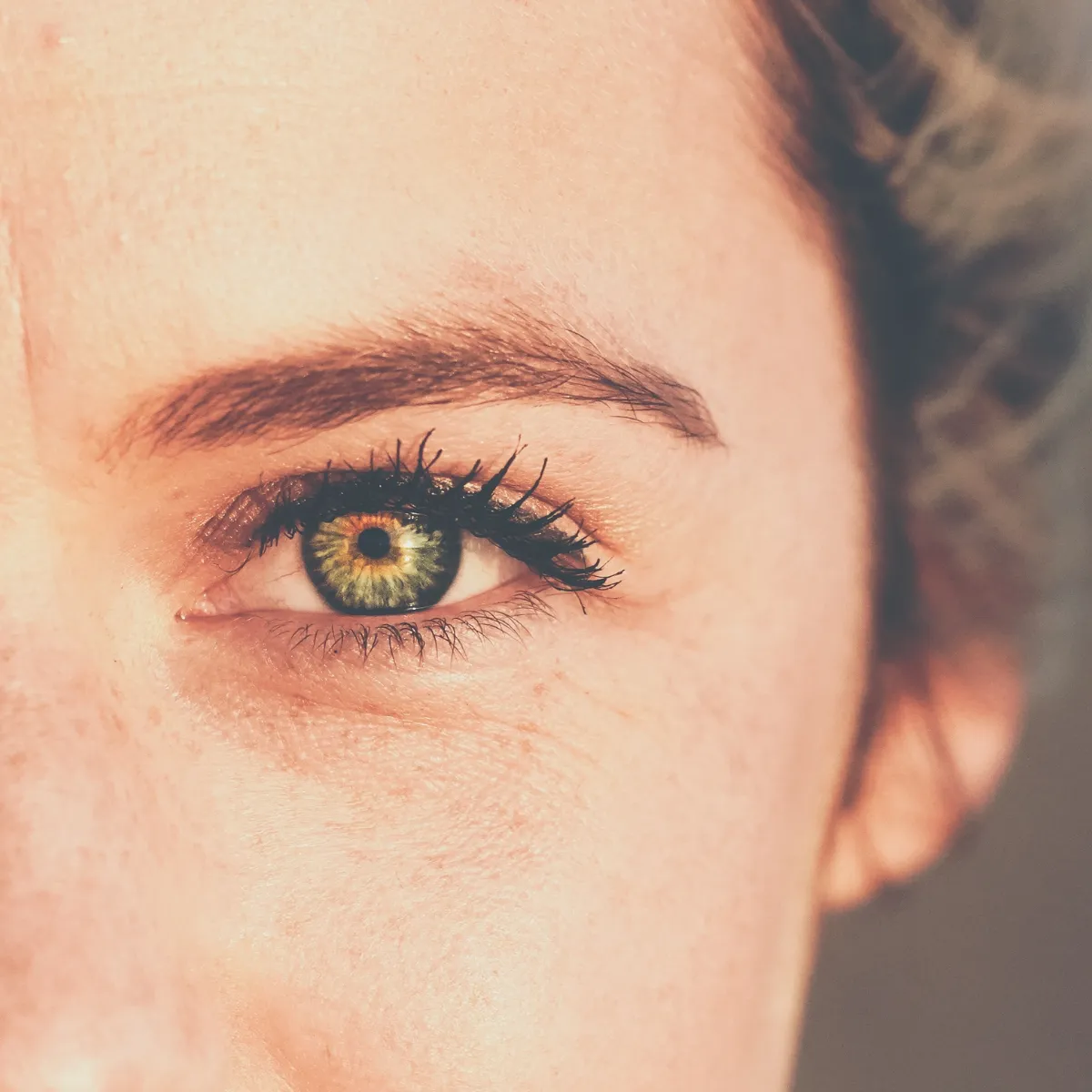 Jeu de formation & Neurosciences : l'attention, le premier pilier de l'apprentissage