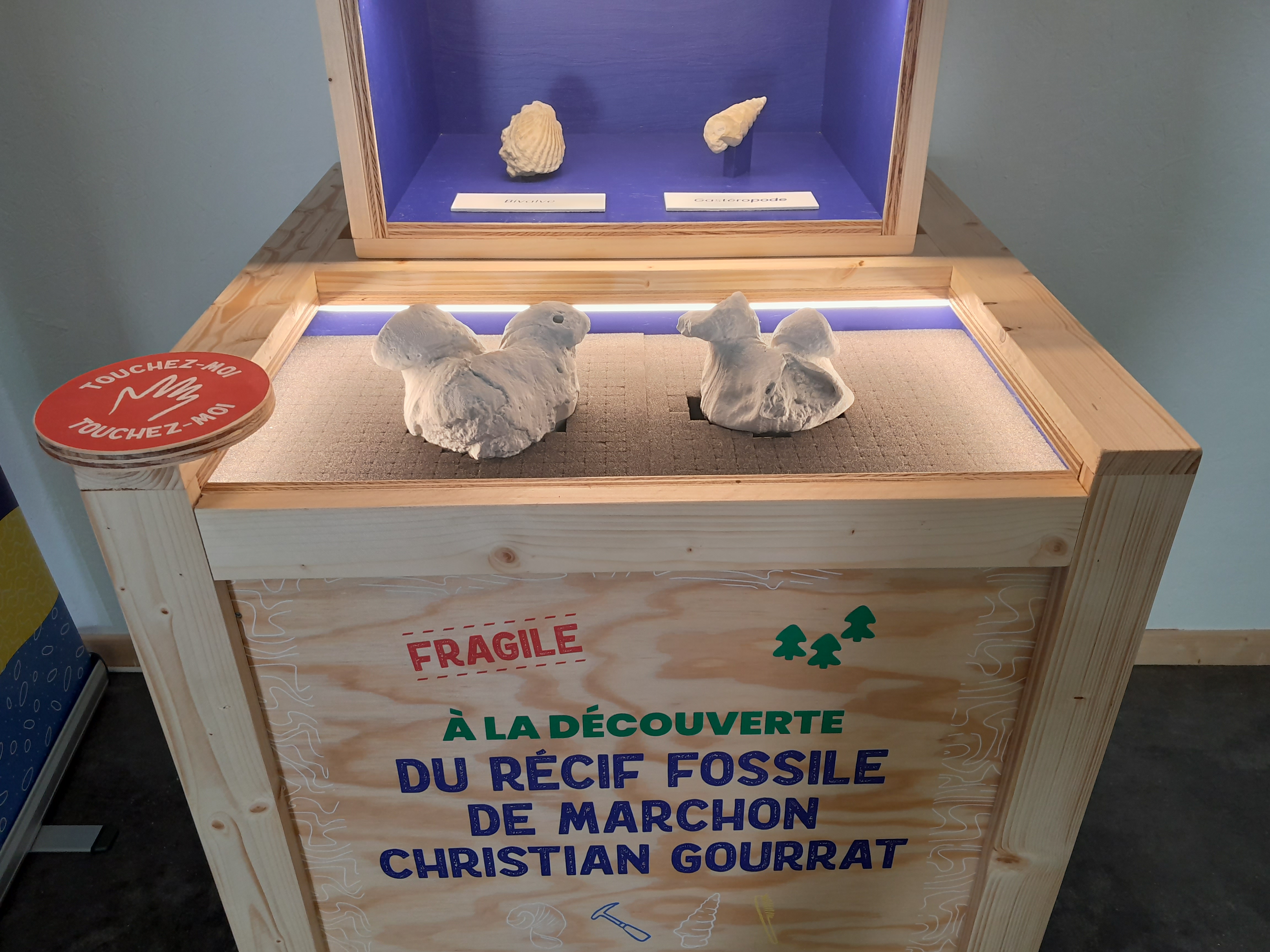 CEN RHÔNE-ALPES | Expositions interactives fixe et itinérante