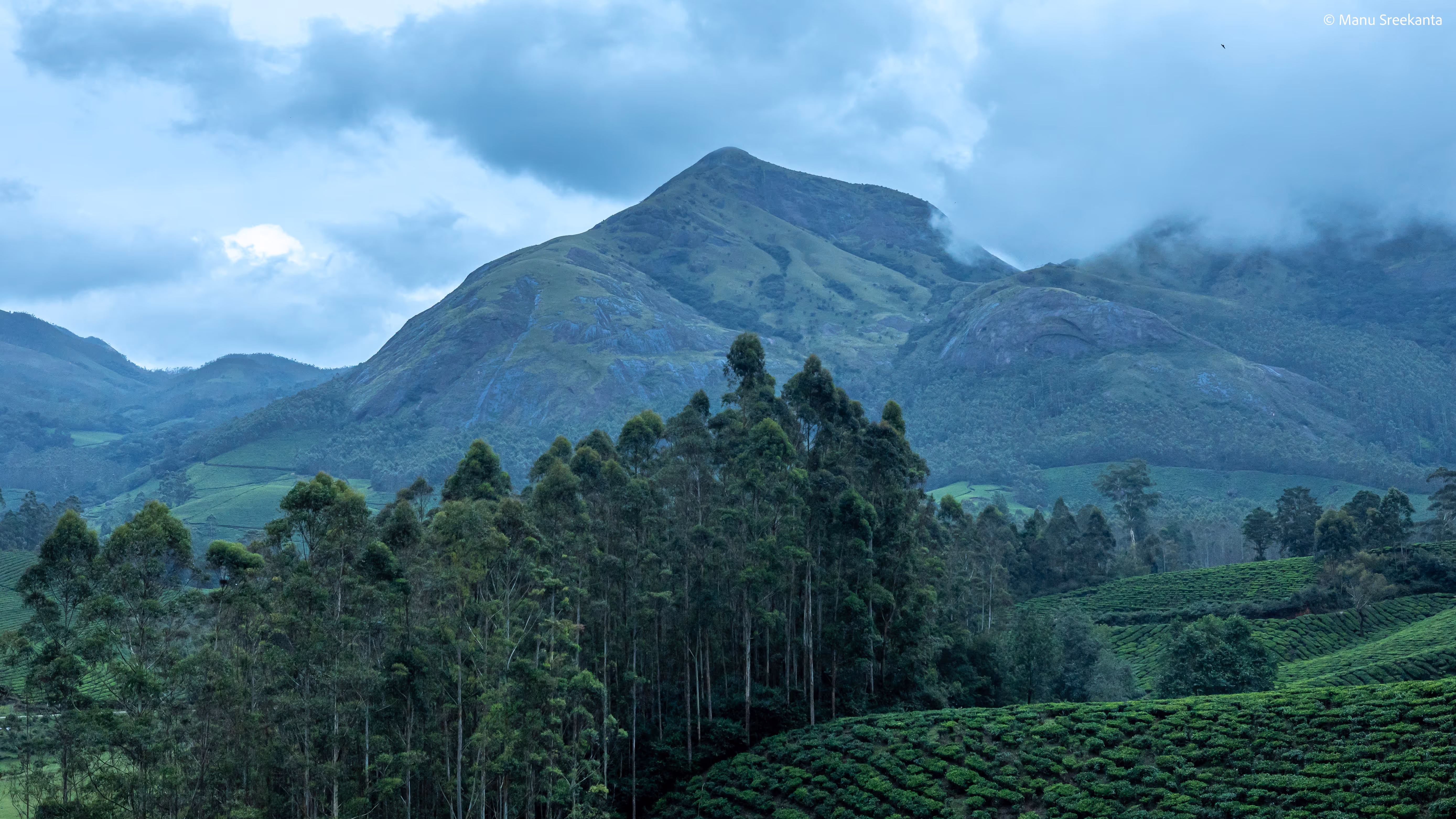 Manu Sreekanta Photography_Portfolio Shot 16