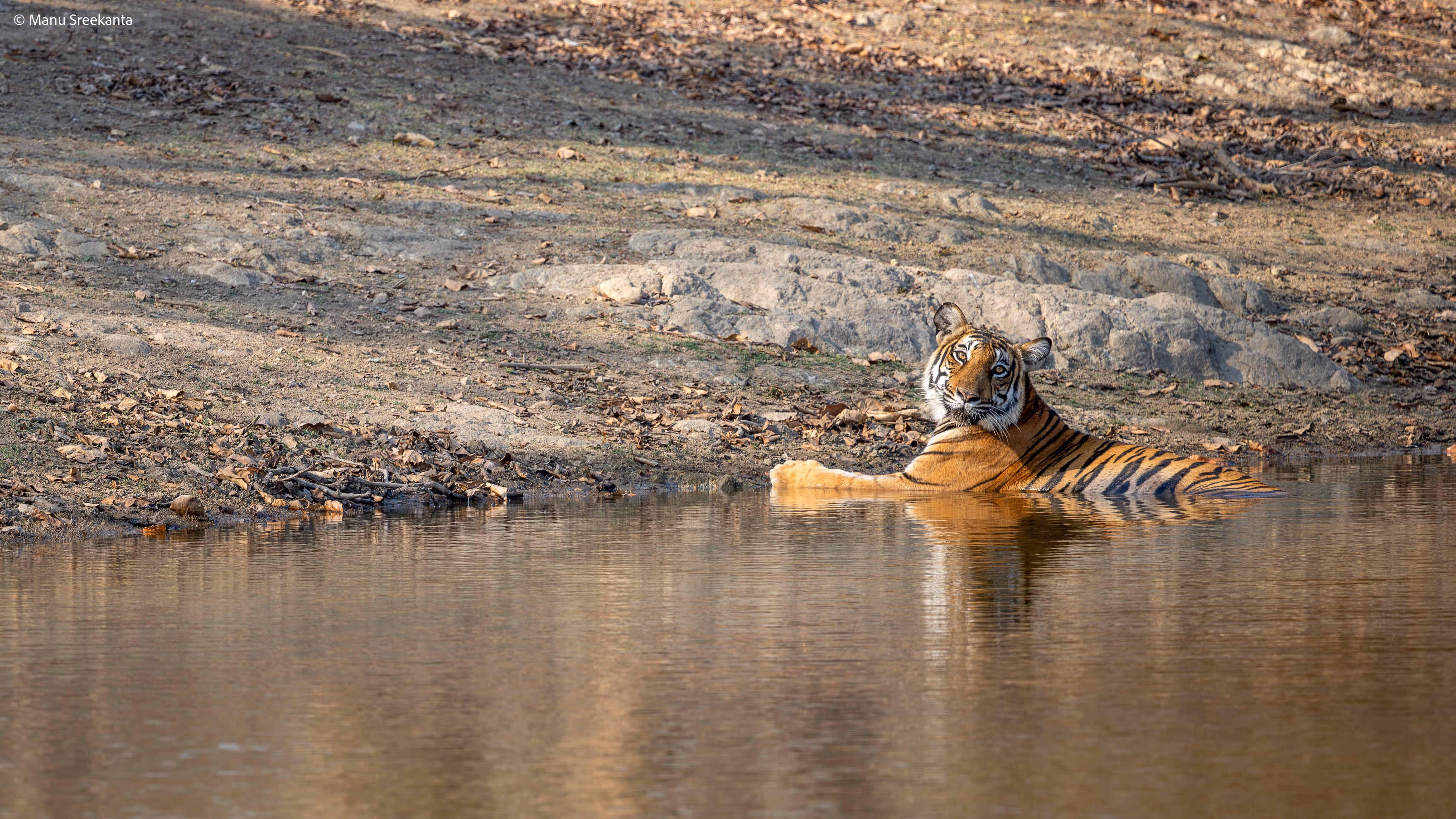 Manu Sreekanta Photography_Portfolio Shot 17