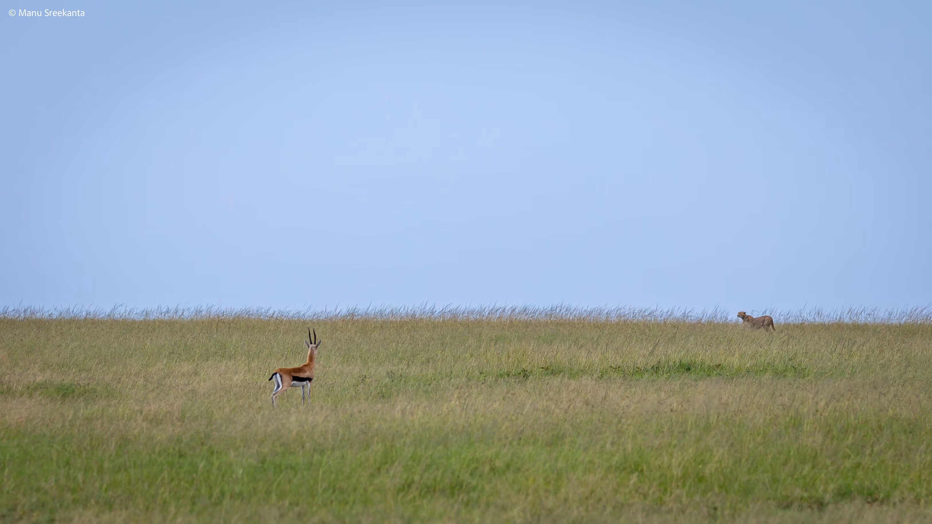 Manu Sreekanta Photography_Kenya Shot 25