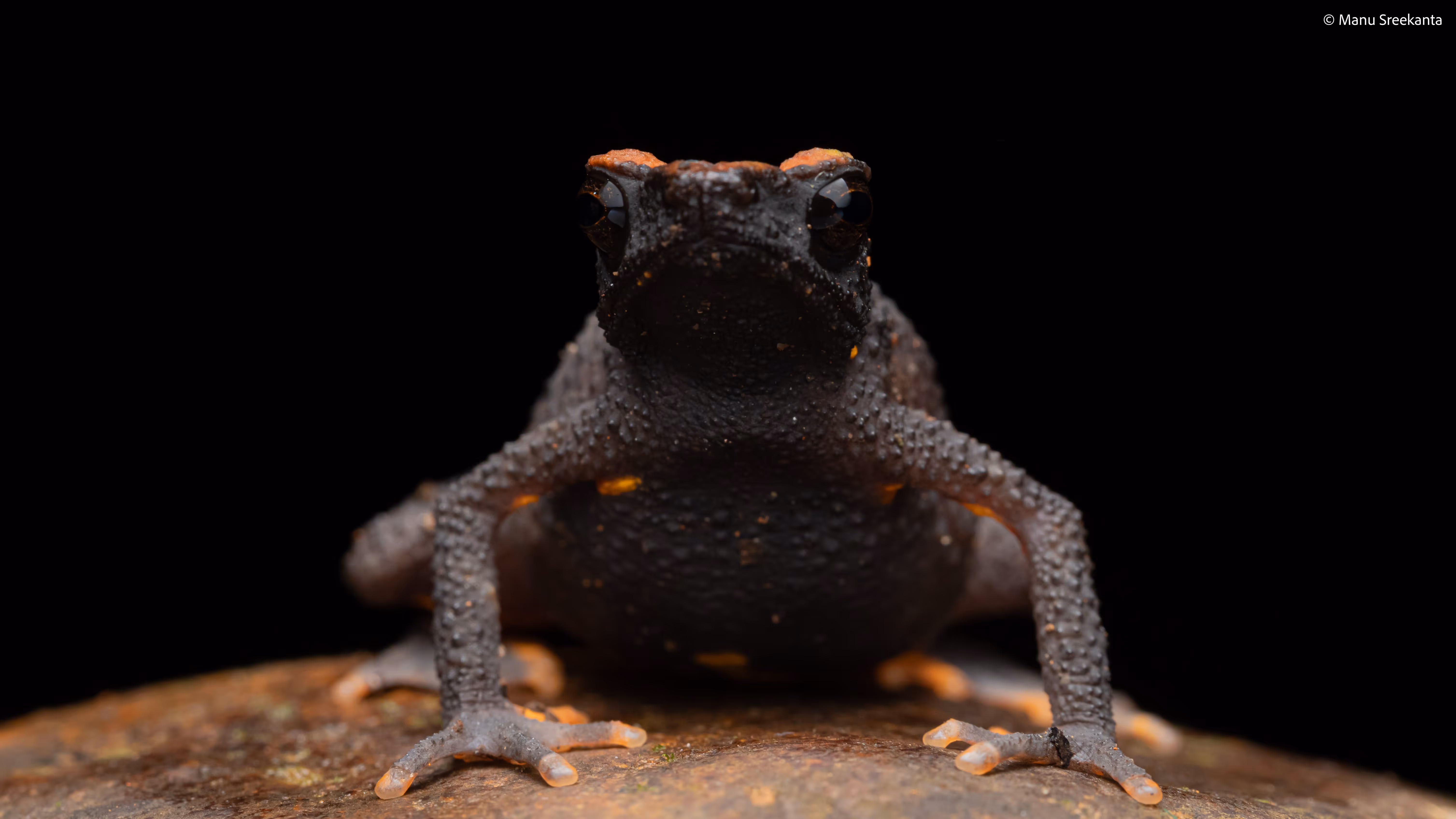 Manu Sreekanta Photography_Kerala Shot 4