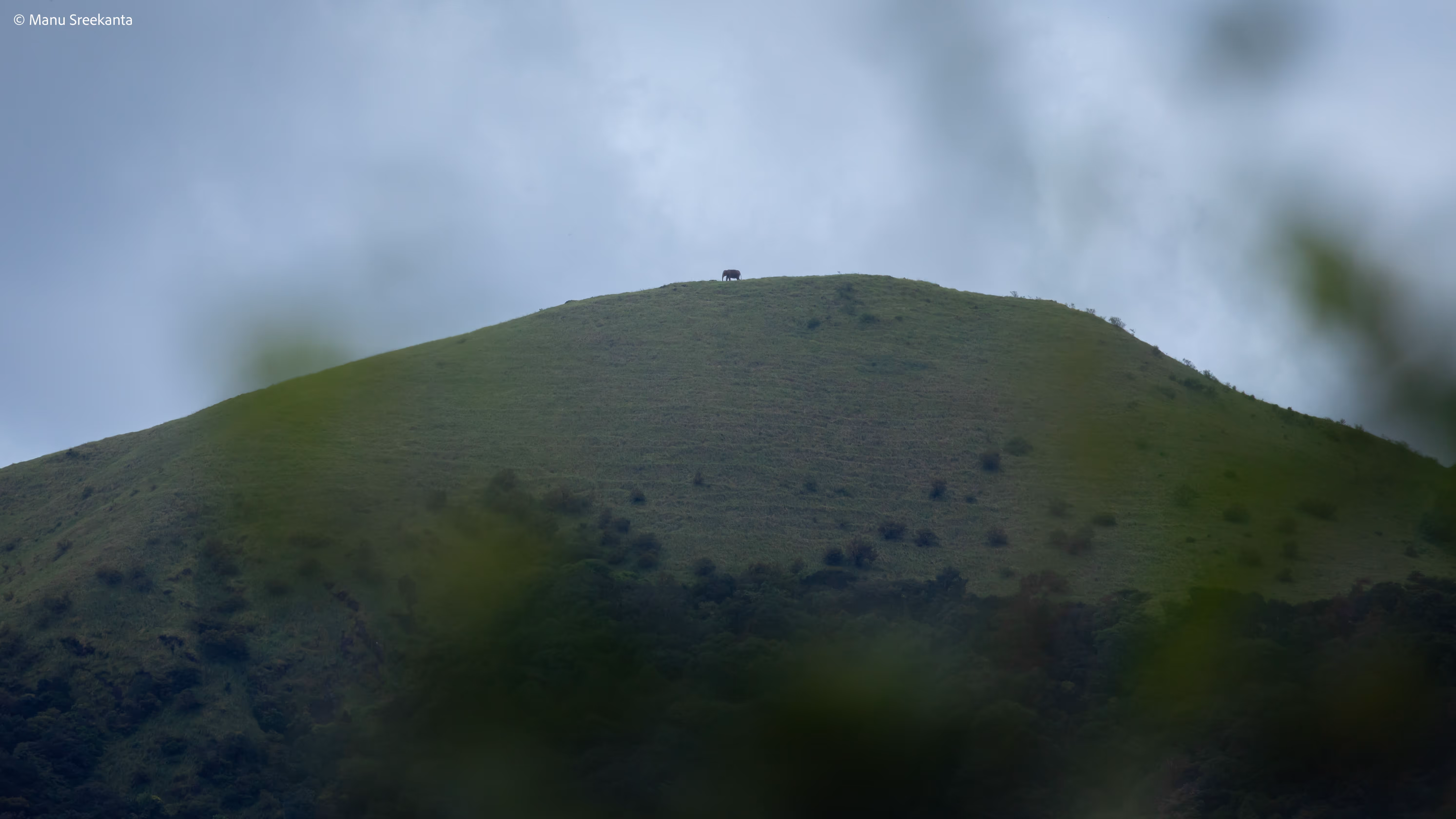 Manu Sreekanta Photography_Kerala Shot 12