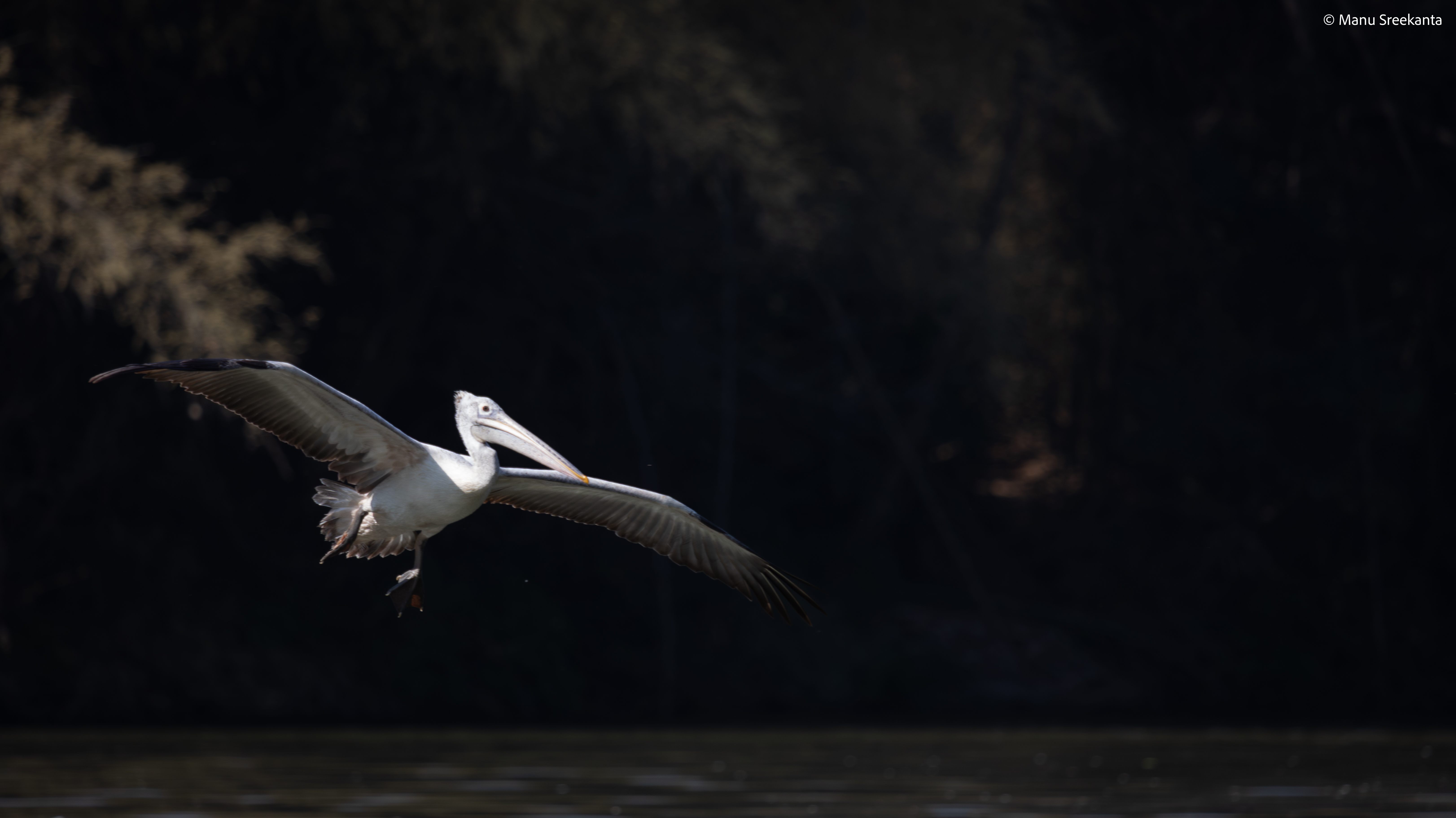 Manu Sreekanta Photography Karnataka Shot 11