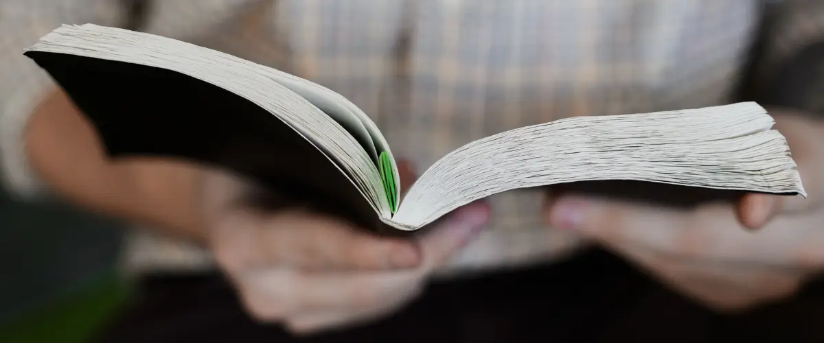 Close-up of a reader holding a book in their hands, open to around the middle of the pages.