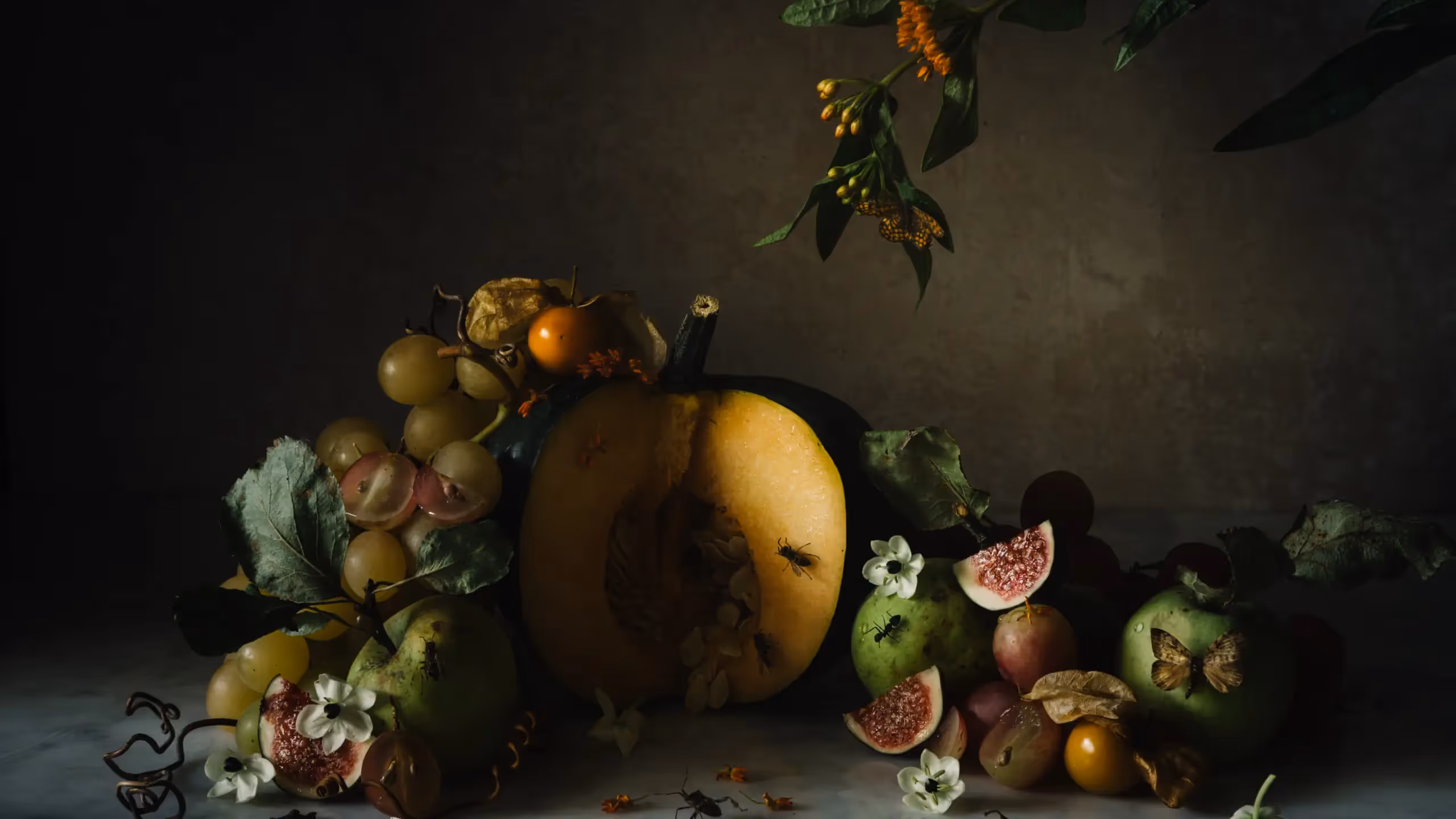 An arrangement of fruit and flowers against a dark background, with insects crawling over the display.