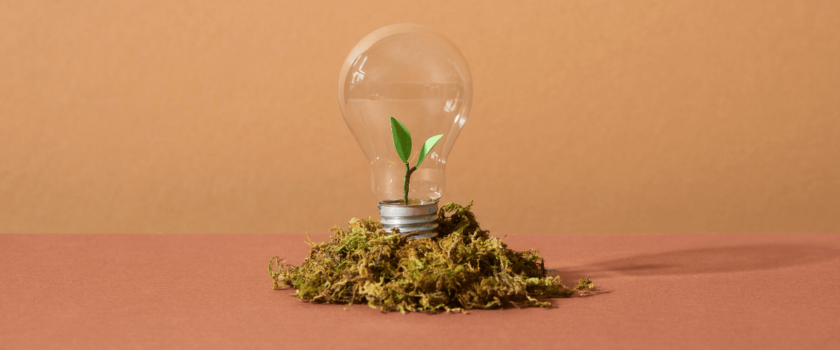 A lightbulb stands in a pile of soil with a small plant growing inside it.