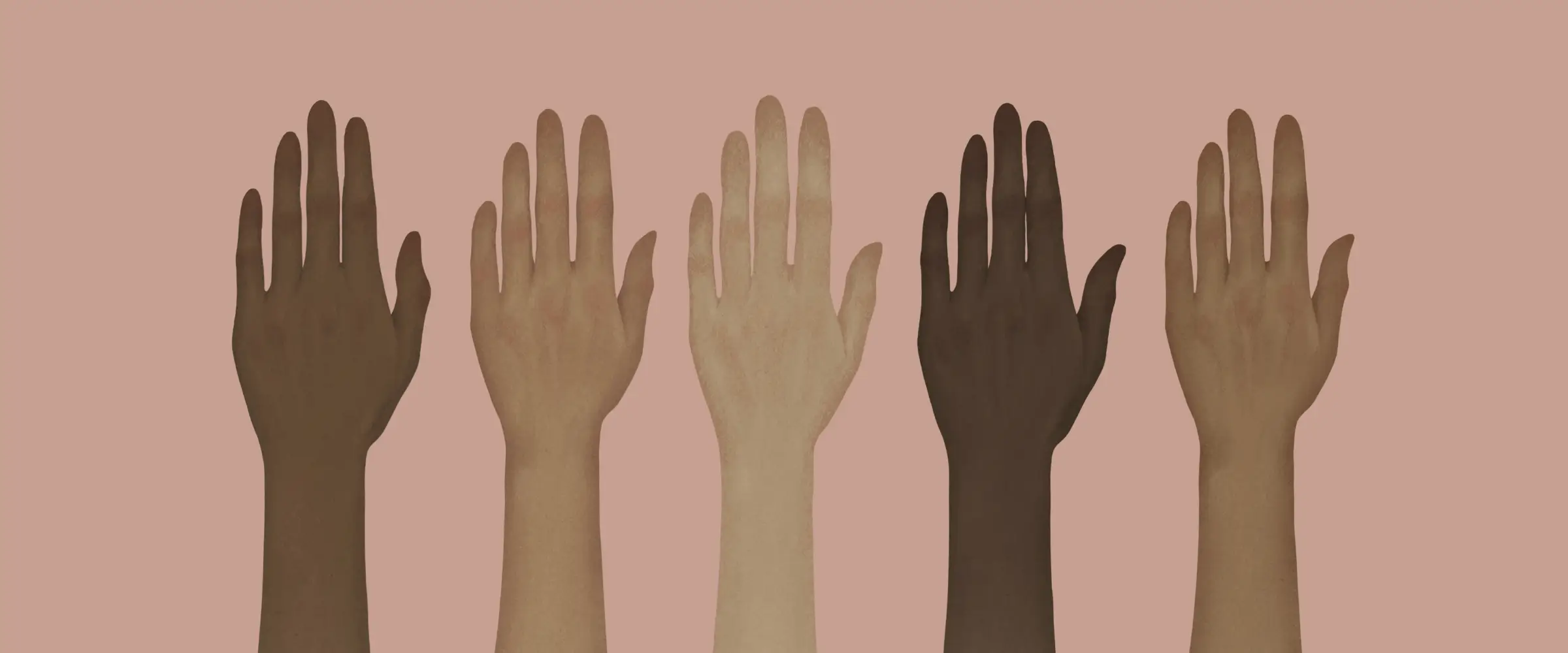 Five hands with different skintones against a pink background.